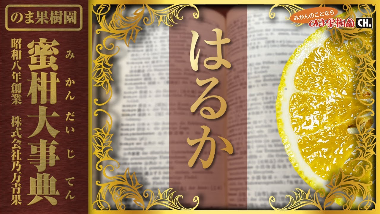 はるか | みかん大事典 | みかんのことなら「のま果樹園」 [ Produced