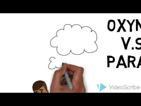 AP English Literature Term Presentation: Oxymoron and Paradox