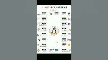 Mastering the Linux File System | Complete Tutorial for Beginners