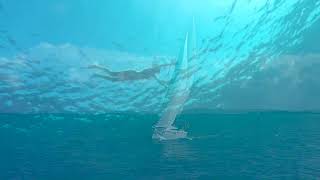 Puerto Rico Sailing Charters - #5 in Tripadvisor!