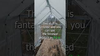 Famous Greenhouse insulation with bubble wrap. #shorts #garden #gardening Profile