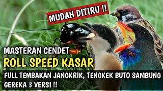 MASTERAN CENDET ROLL SPEED KASAR || FULL TEMBAKAN JANGKRIK, TENGKEK BUTO SAMBUNG GEREJA 3 VERSI !!