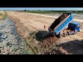 The Best Thing New Project Space Filling Expert Komatsu D58P Dozer Push Soils Rock Drop Into Water.