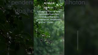 067. AL MULK #ayat 23