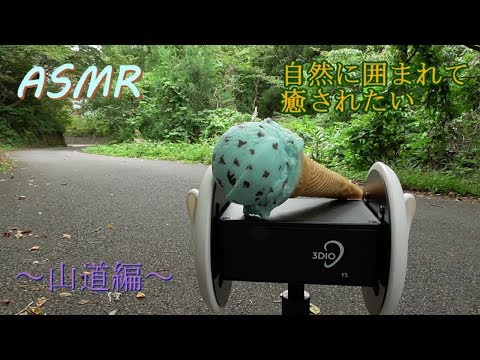 【ASMR】自然の中でステンレス製耳かき【立体音響】