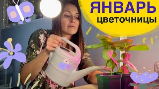 видео: КАК ПЕРЕЖИТЬ ЯНВАРЬ! ДОСТАЮ ГЕОРГИНЫ! Цинии ЦВЕТУТ! #милыйдом картинка: КАК ПЕРЕЖИТЬ ЯНВАРЬ! ДОСТАЮ ГЕОРГИНЫ! Цинии ЦВЕТУТ! #милыйдом