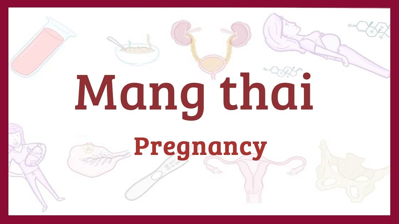 Học sinh mang thai | Mang thai – Sinh lý học