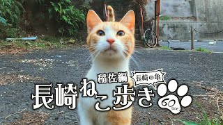 長崎ねこ歩き～稲佐編～