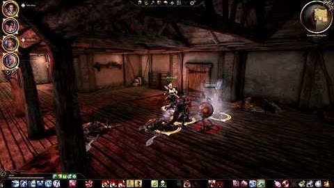 Dragon Age: Origins Bug