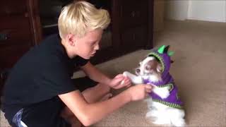 carson lueders and moje '' true love ''