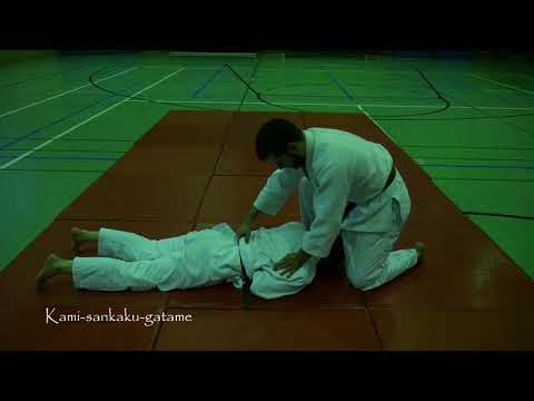 Judo || Kami-shiho-gatame (Osaekomi-waza) - #ZusammenZumDan - #23