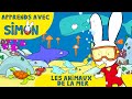 Simon  dcouvre les animaux de la mer avec simon officiel dessin anim pour enfants