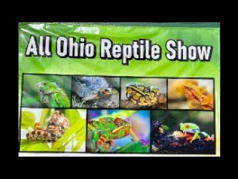 Columbus, OH All Ohio Reptile Show - YouTube