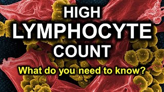 Lymphocytes high in blood test