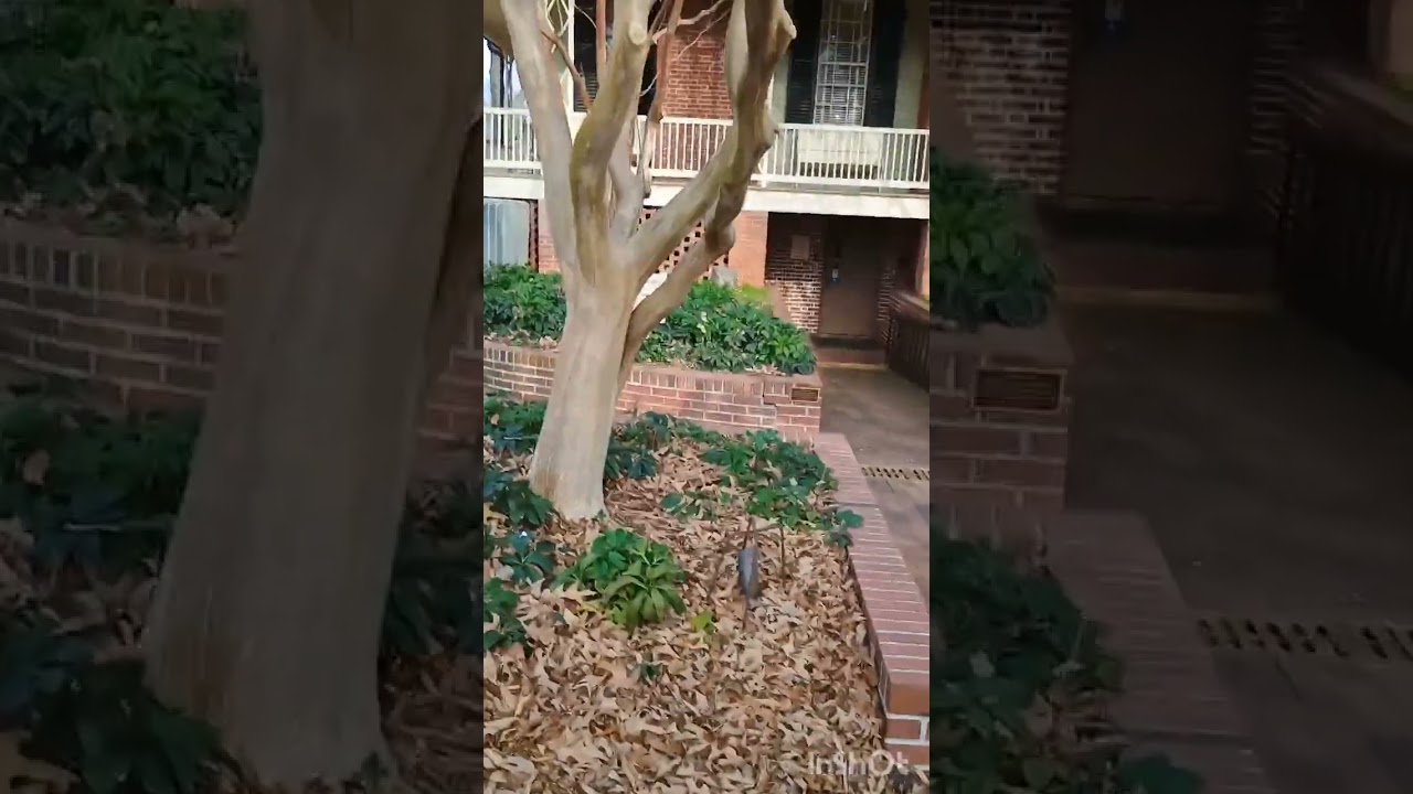 Blount bridger's house Tarboro North Carolina