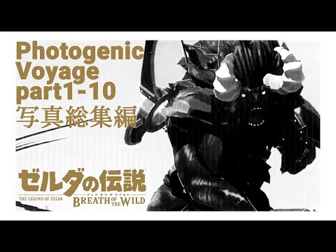 ブレワイ りんご 復活