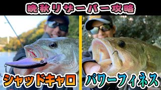 晩秋の津久井湖・シャッドキャロとパワーフィネスで攻略！【林晃大】