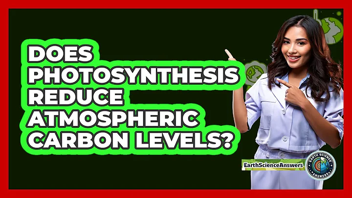 Does Photosynthesis Reduce Atmospheric Carbon Levels?
