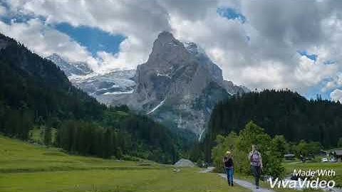 تلاوة هاديئة وجميلة الله خالق كل شيء  🌷🌷 حالات واتس اب دينية 🌹 مقاطع انستغرام