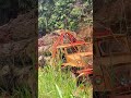 san tai wong lori balak malaysia #logging #automobile #loggingtruck #truck #excavator #truckdrivers