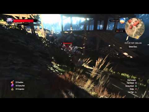 Enter The Matrix - Witcher 3 Agents
