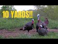 EPIC Morning of Turkey Hunting!!! (Avian X decoy gets destroyed)
