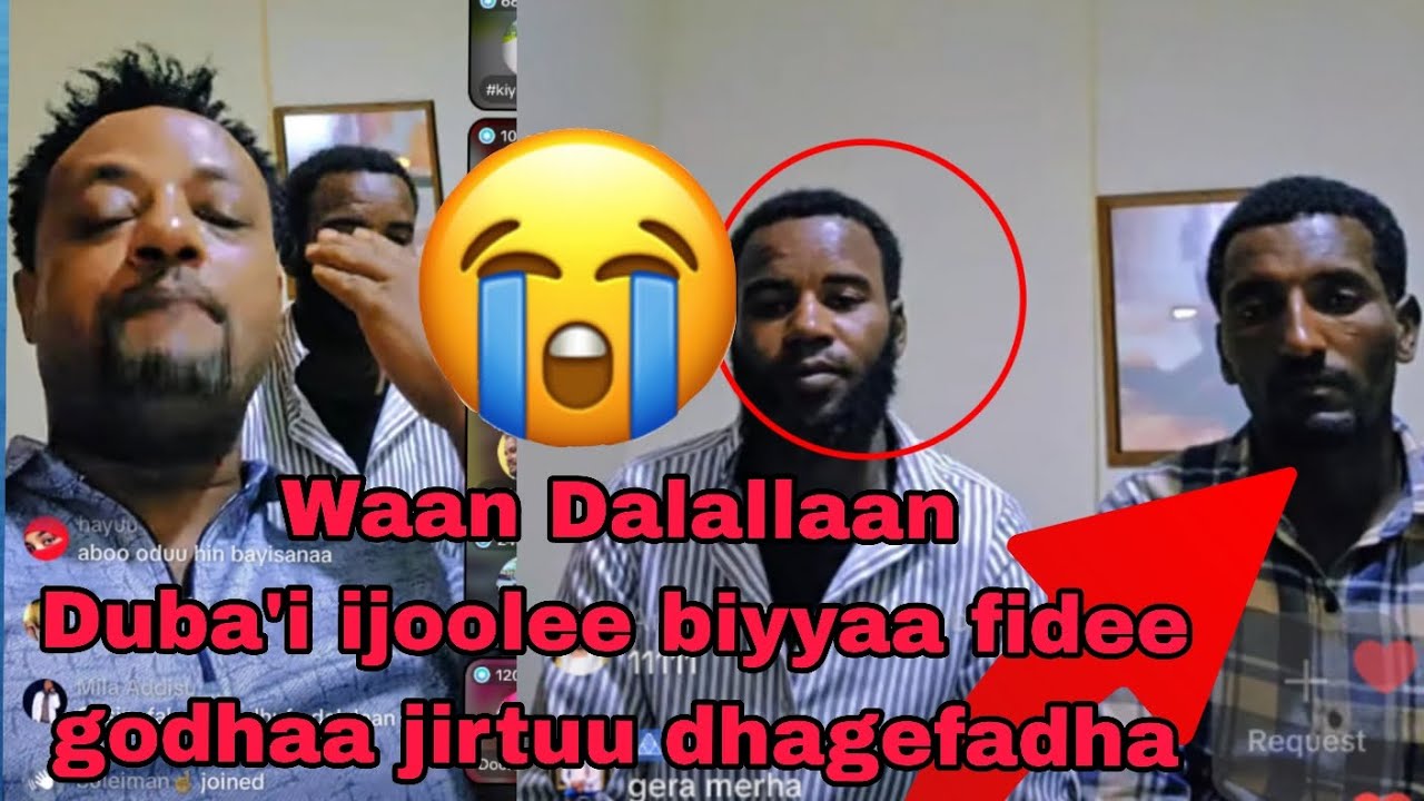 Mubarak Galaatoomii 🙏👌Waan Dalallaan Duba'i  nama  Godha jirtu Dhagefadha Sher Walif godha