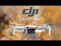 Test du dji mavic mini  le drone parfait pour dbutants 