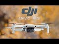 TEST du DJI Mavic mini : Le drone parfait pour débutants !