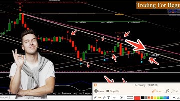 Impossible To Loss | Most Profitable Binary Trading MT4 Indicator Supper Money#status #1