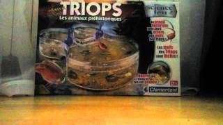 Elevage Triops 1 er partis !