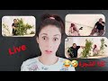 Chatamata Live يوكريشة والسريعة في مسلسل جديد Chatamata Live يوكريشة والسريعة في مسلسل جديد