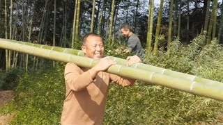 今天把楠竹砍了，给挖机准备个便道，梁快和乡里乡亲都来帮忙