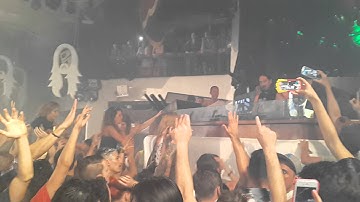 Steve Aoki. The Lion King. Pacha Ibiza.