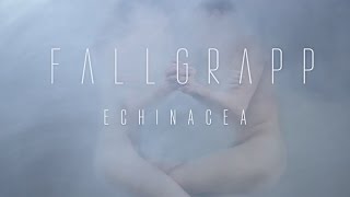 Fallgrapp - Echinacea