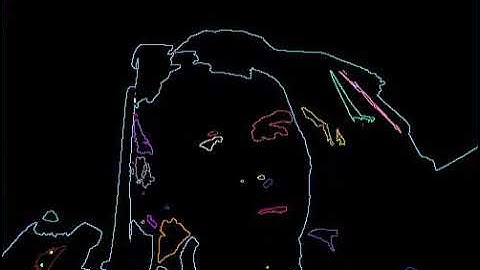 Video Object Using React and OpenCV.js recording canvas Demo #2 Contour Lines Random Color Filter