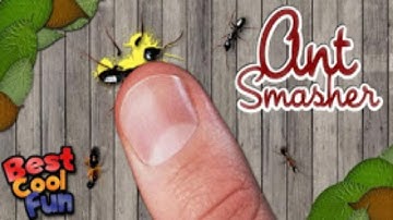 Ant Smasher Gameplay Android