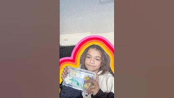 Trying Trader Joe’s Viral Mousse Cakes ￼.