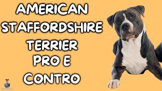 American Staffordshire Terrier: Pro e Contro