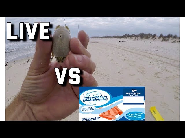 Surf Fishing- Fish Bites VERSUS LIVE Bait 