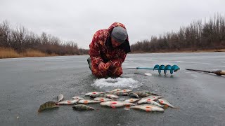 ПАЛКА И ХОМУТ, ШАРЮСЬ В ОСТРОВАХ. Стая рыбы в каждой лунке. Зимняя рыбалка по опасному льду на окуня