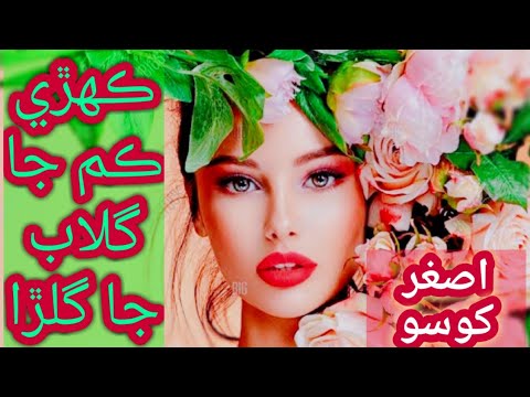 Kehre Kam Ja Ghulab Ja Gulra  Muhnjo Gul Muhnjo Jani Aa Song  Asghar Khoso Songs