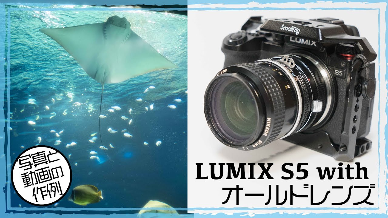 LUMIX S5にオールドレンズNIKKOR・35mmF2をつけて撮影。水族館へ行った