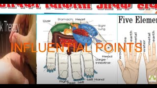 Tcm Acupuncture ,Influential points..