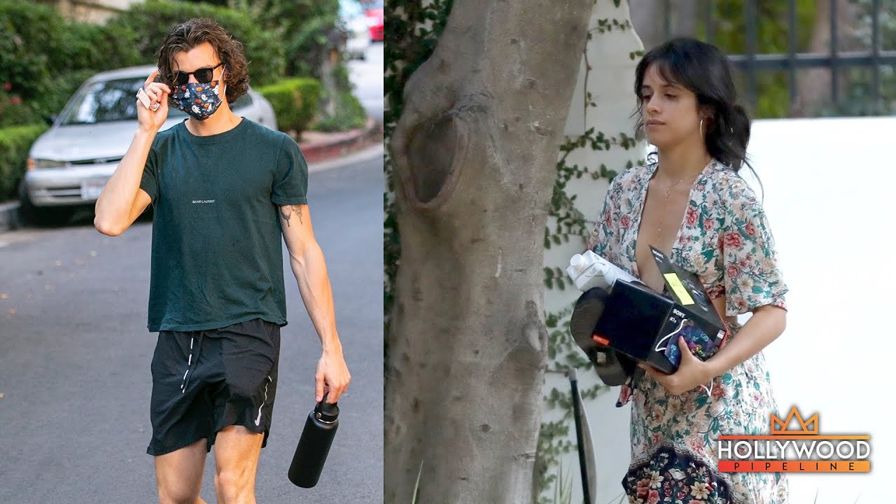 Shawn Mendes and Camila Cabello Back Together Ahead of the '2020 Billboard Music Awards'