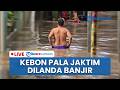 🔴 LIVE: Banjir 1 Meter Lebih Landa Kebon Pala Jaktim, Warga Pilih Bertahan di Rumah Masing-masing