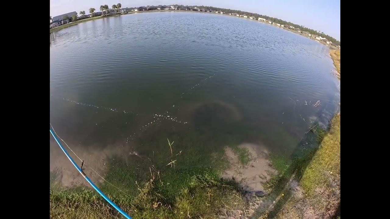 Daytona Beach Bass Fishing Quick Clip 05/09/25