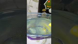 feeding sea monkeys. they're so big #seamonkeys#seamonkey#fish#fishtank#pet#pets#animals