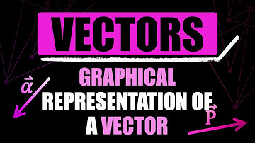 Graphical Representation of a Vector