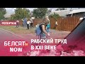 Рабочих выгоняют на принудительную генуборку третий день подряд